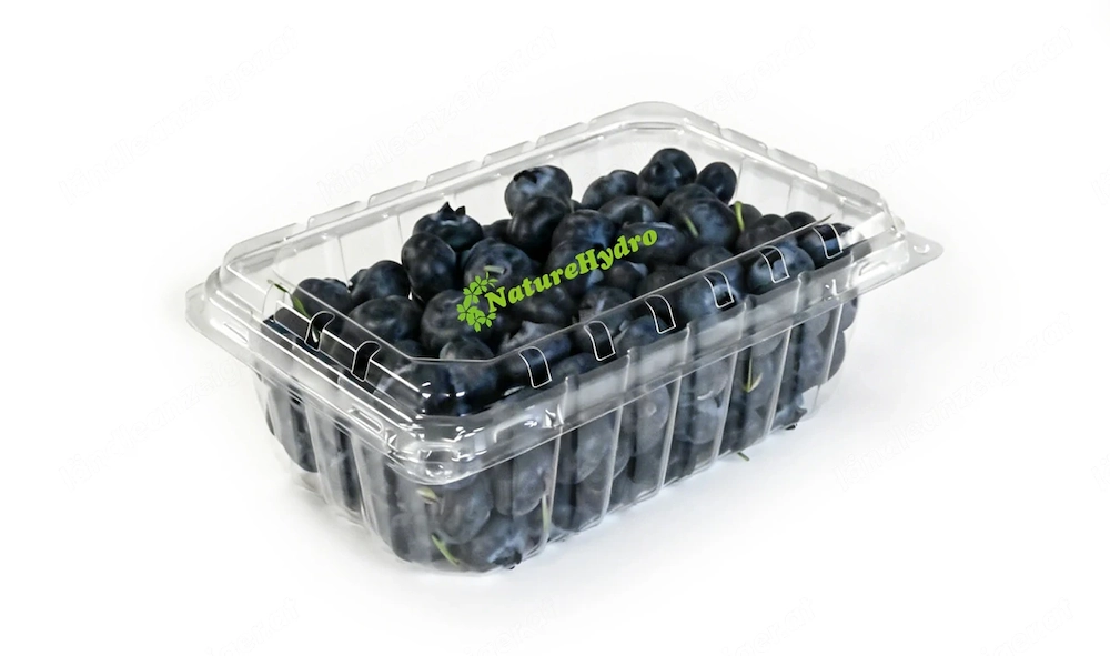 Envases Clamshell de PET para Berries y Frutas Frescas