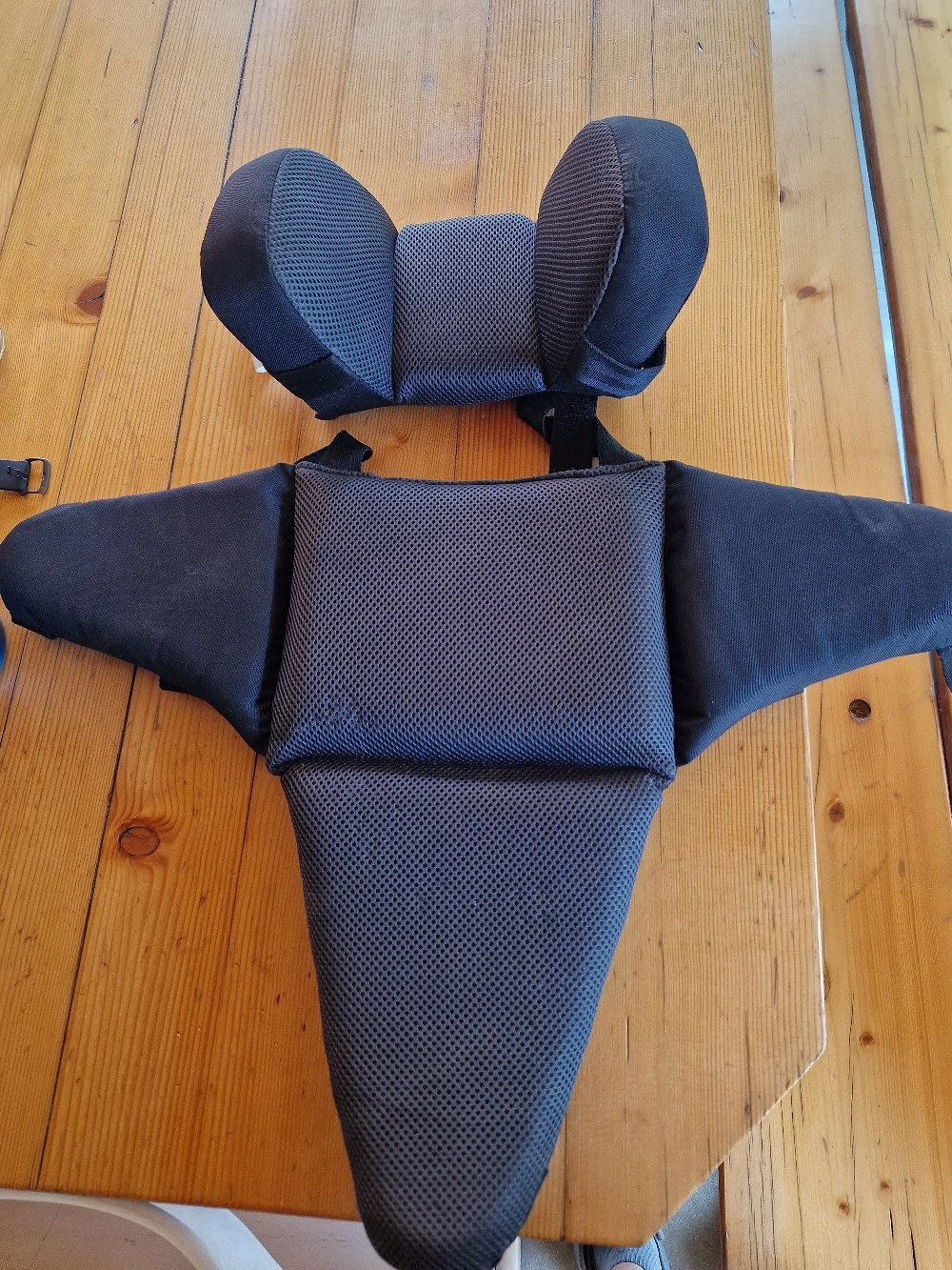 Thule Baby Transporter