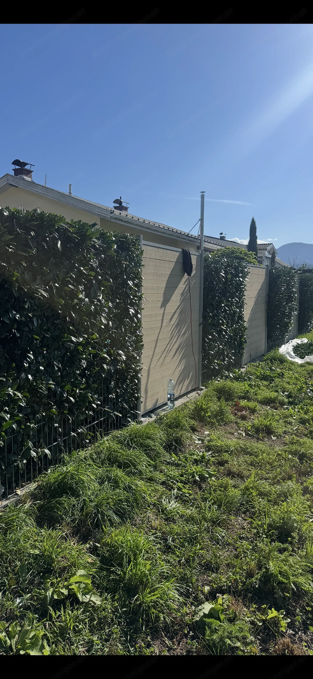 Rasen mähen, Hecke trimmen, schneiden alles. Gartenpflege Zuverlässig & Preiswert