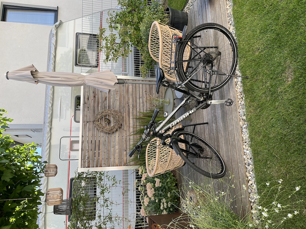 Damen Fahrrad 