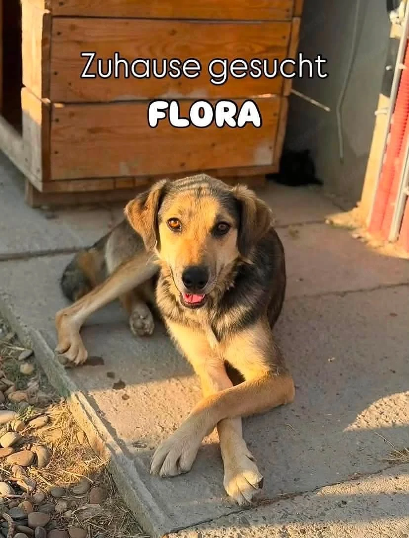 Flora - eine sanfte Begleiterin 