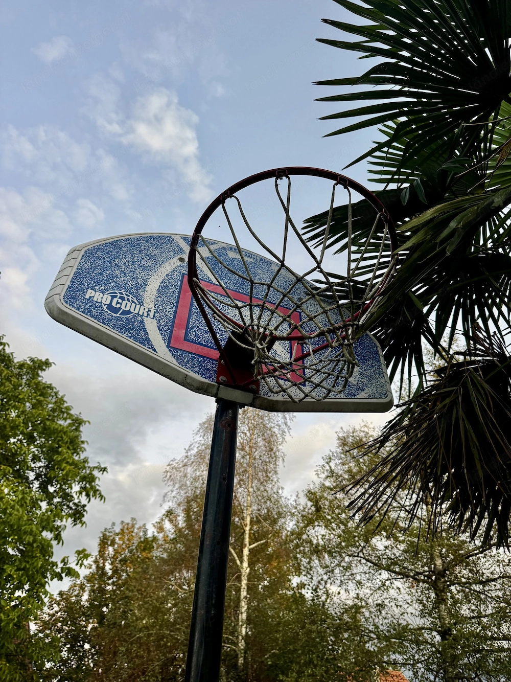 Basketball Korb 