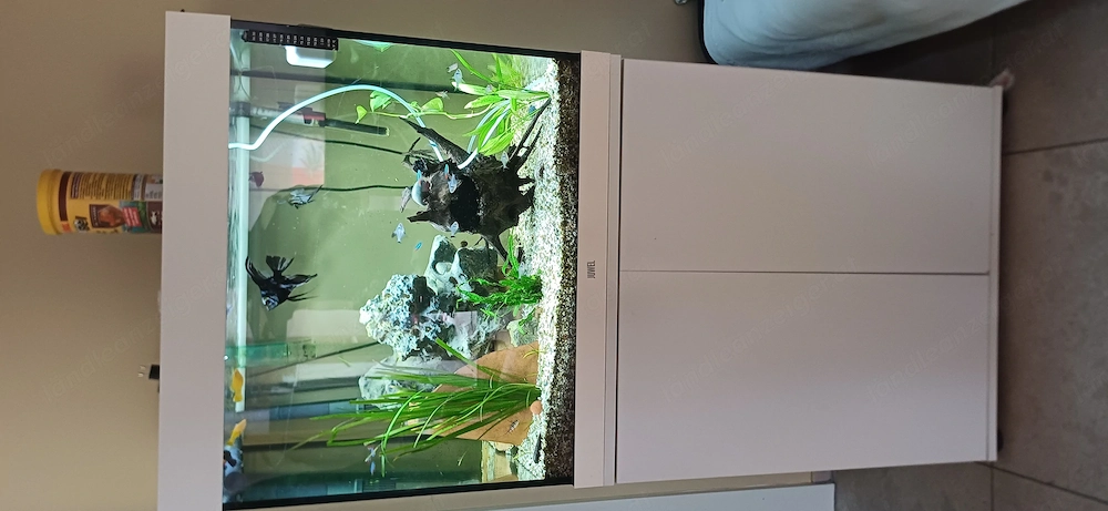 Aquarium zu verschenken 