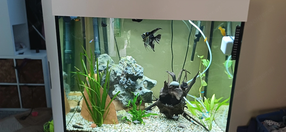 Aquarium zu verschenken (reserviert)