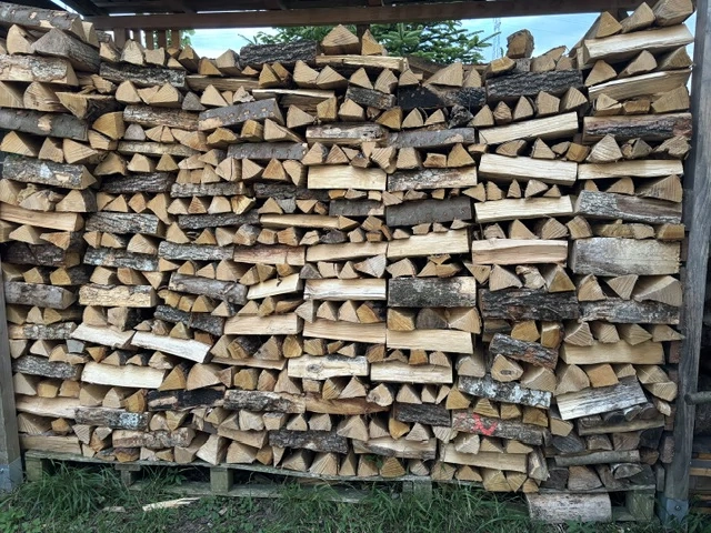 Brennholz   Kaminholz Hartholz (33 cm)