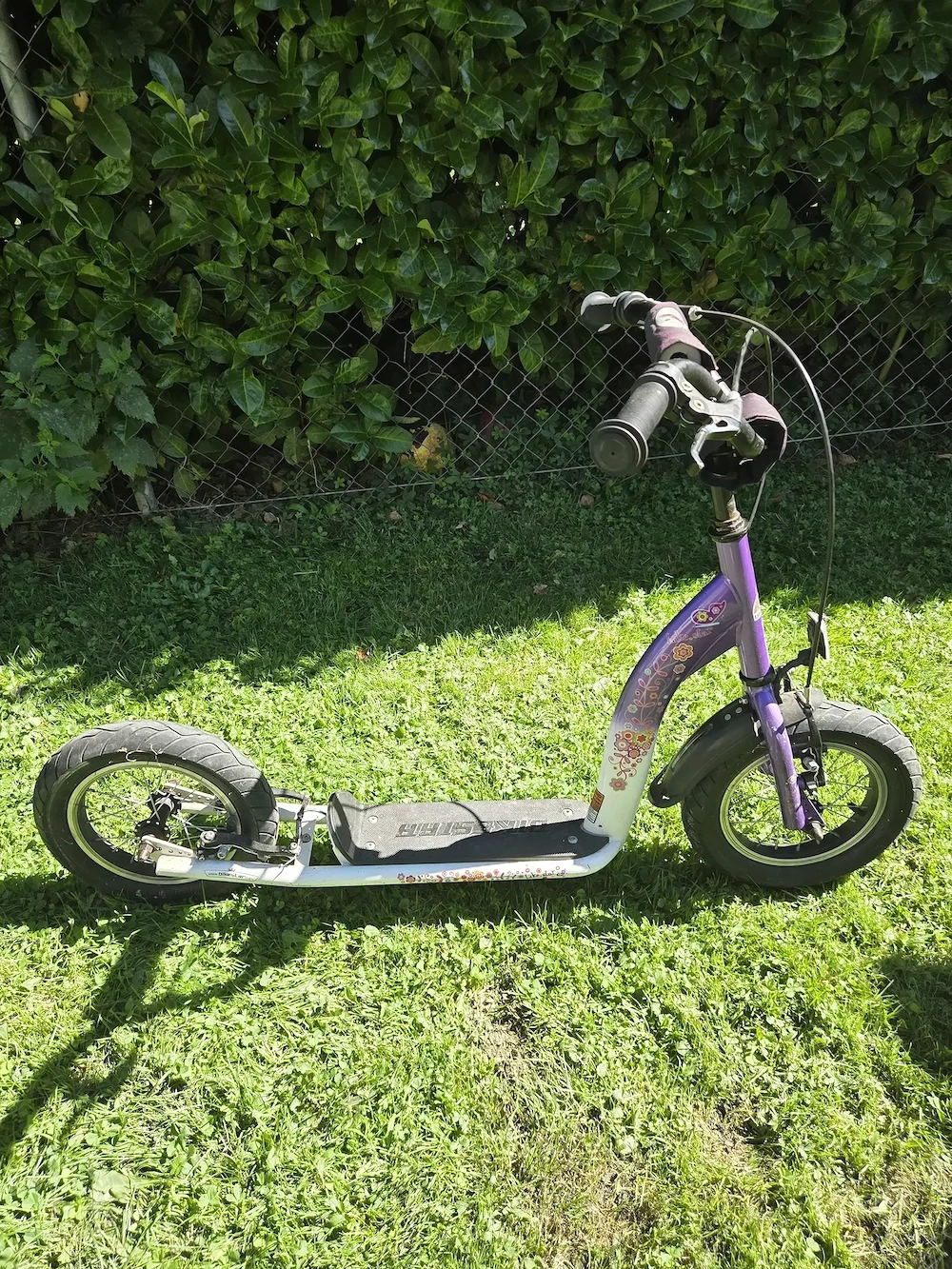 Trottroller von BikeStar