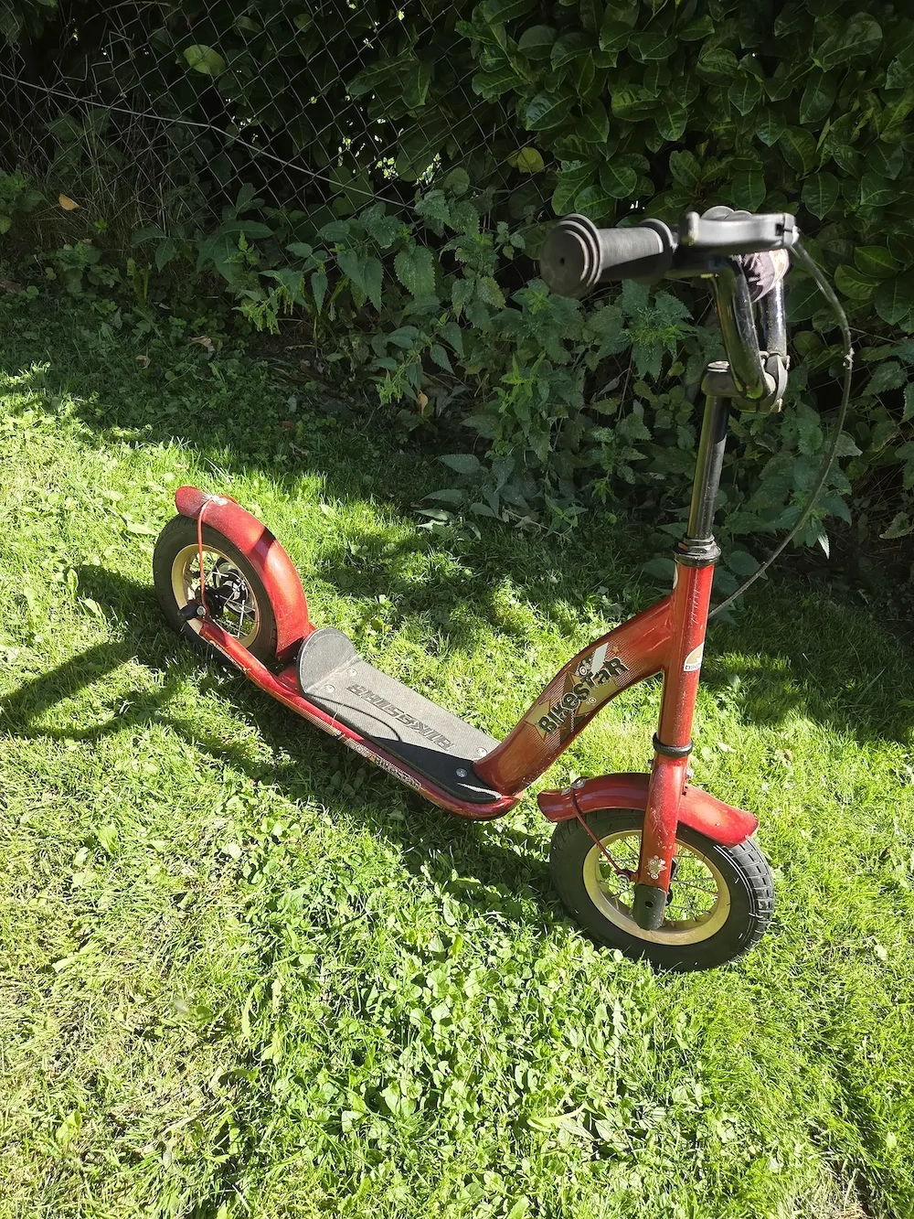 Trottroller in von BikeStar