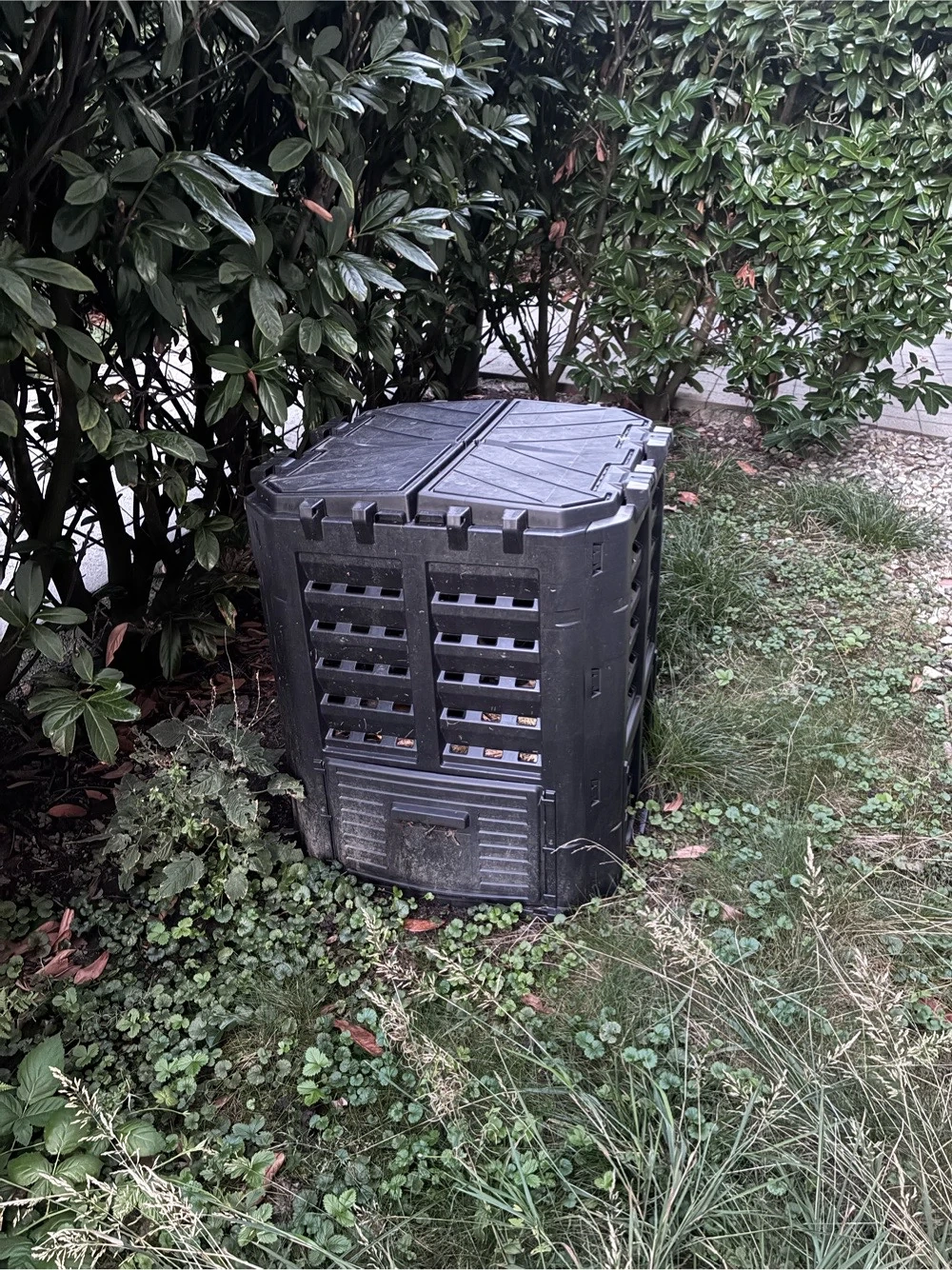 Auflösung Kompost