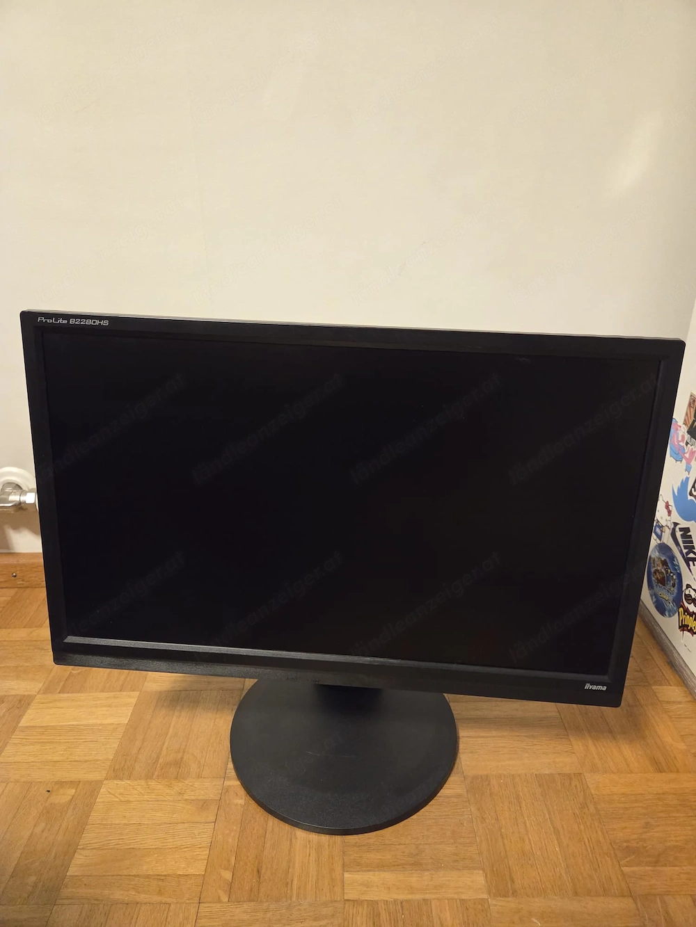 Pc Monitor 22zoll
