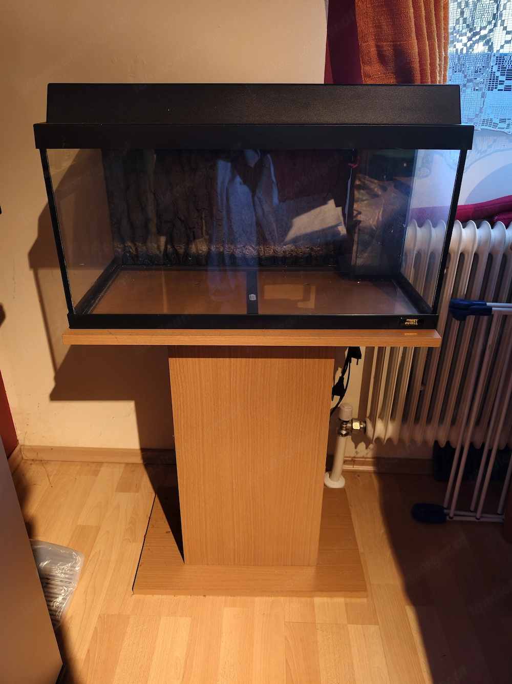 Aquarium Fische