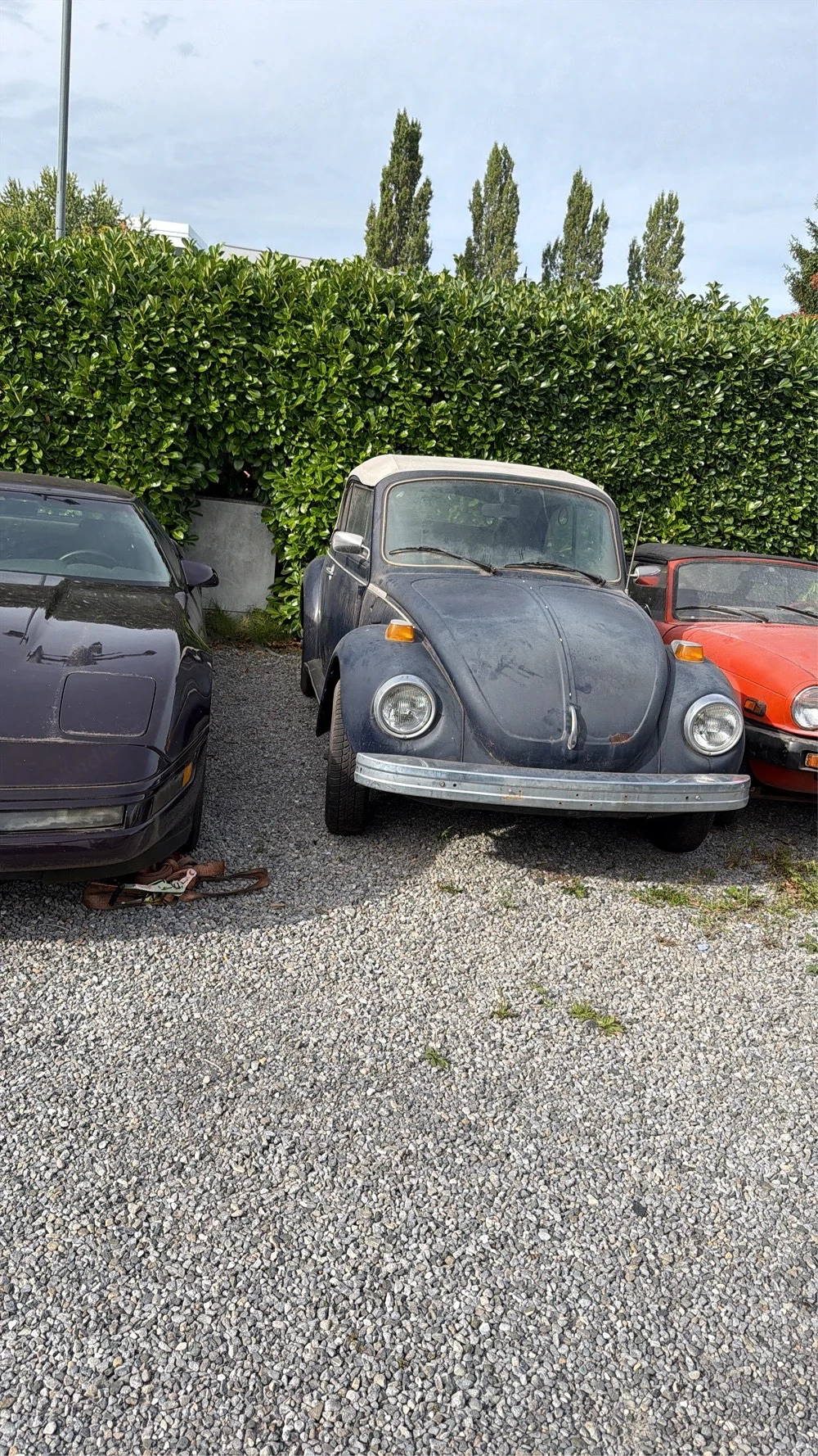 Gesuche Auto