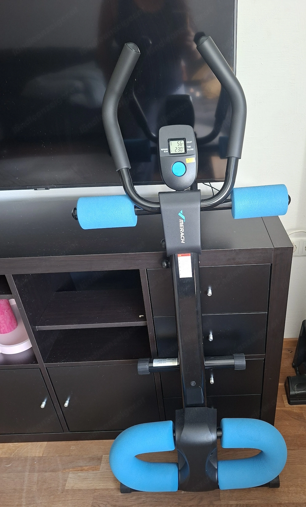Bauchtrainer guter Zudtand