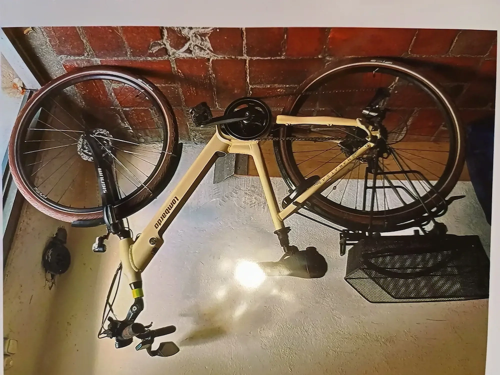 1 Damen E-Bike zu verkaufen 