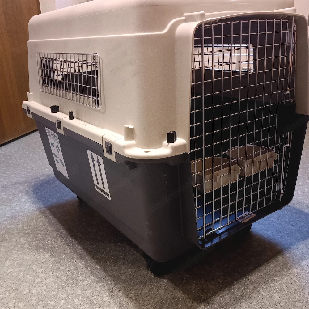 Flugzeugbox für Hund mit Rollen