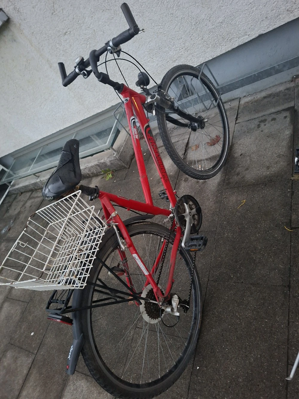 Damenfahrrad 28 Zoll