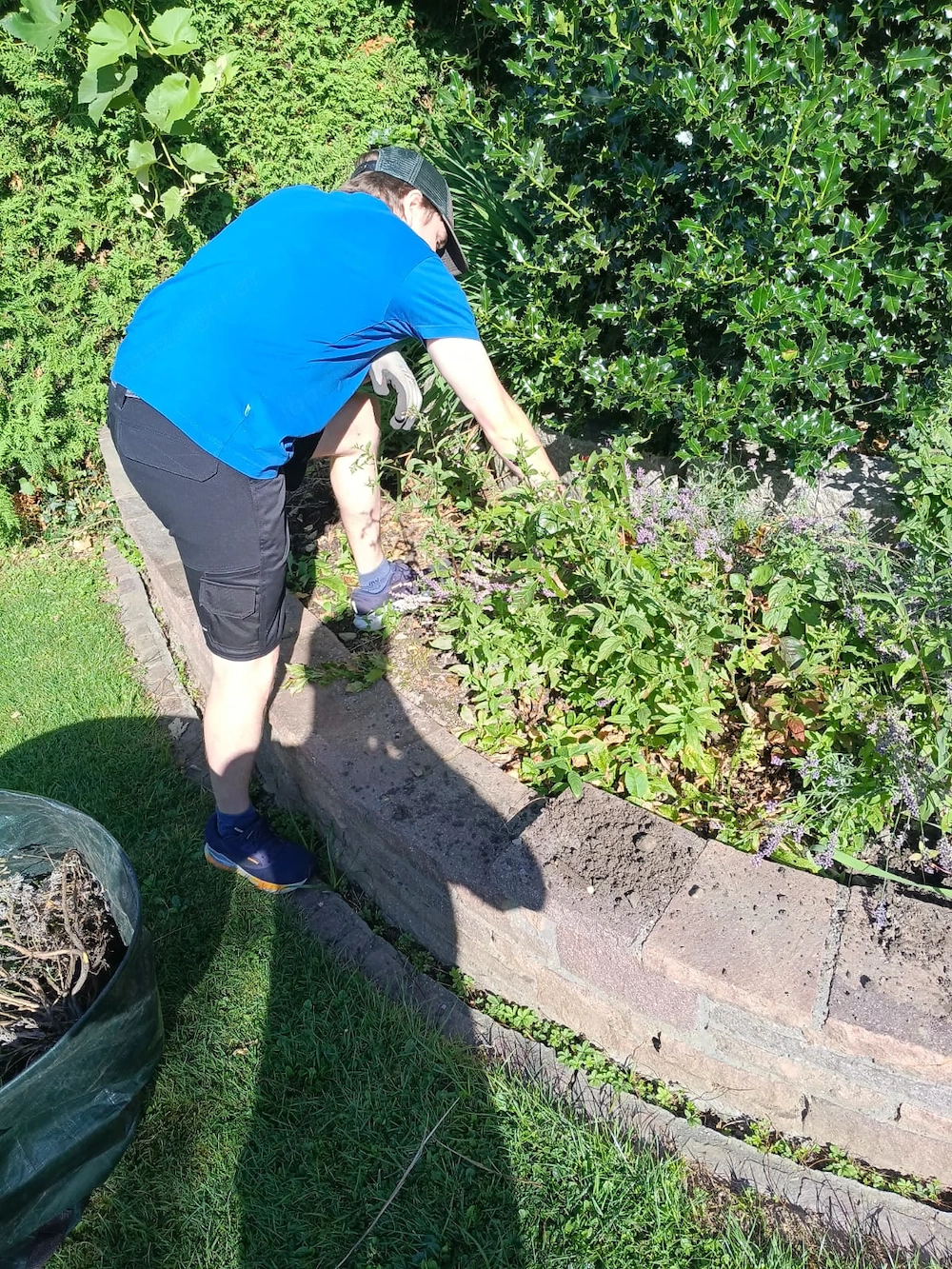 Hausmeisterservice & Gartenpflege   Winterdienst   Umzugshilfe & Entrümpelung