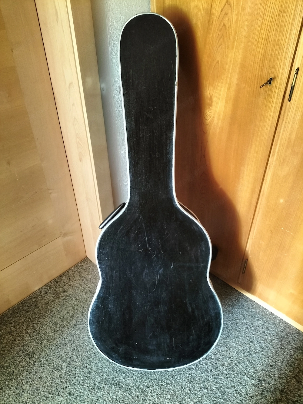 Ibanez-Gitarre mit Koffer u Ständer 