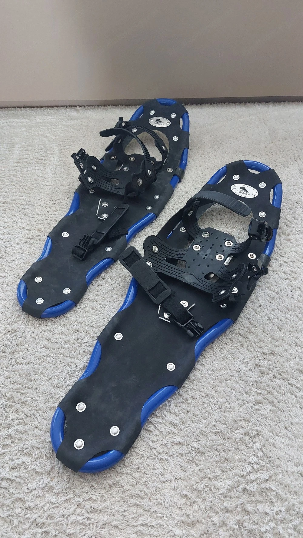 Schneeschuh-Set: Schneeschuhe + Stöcke