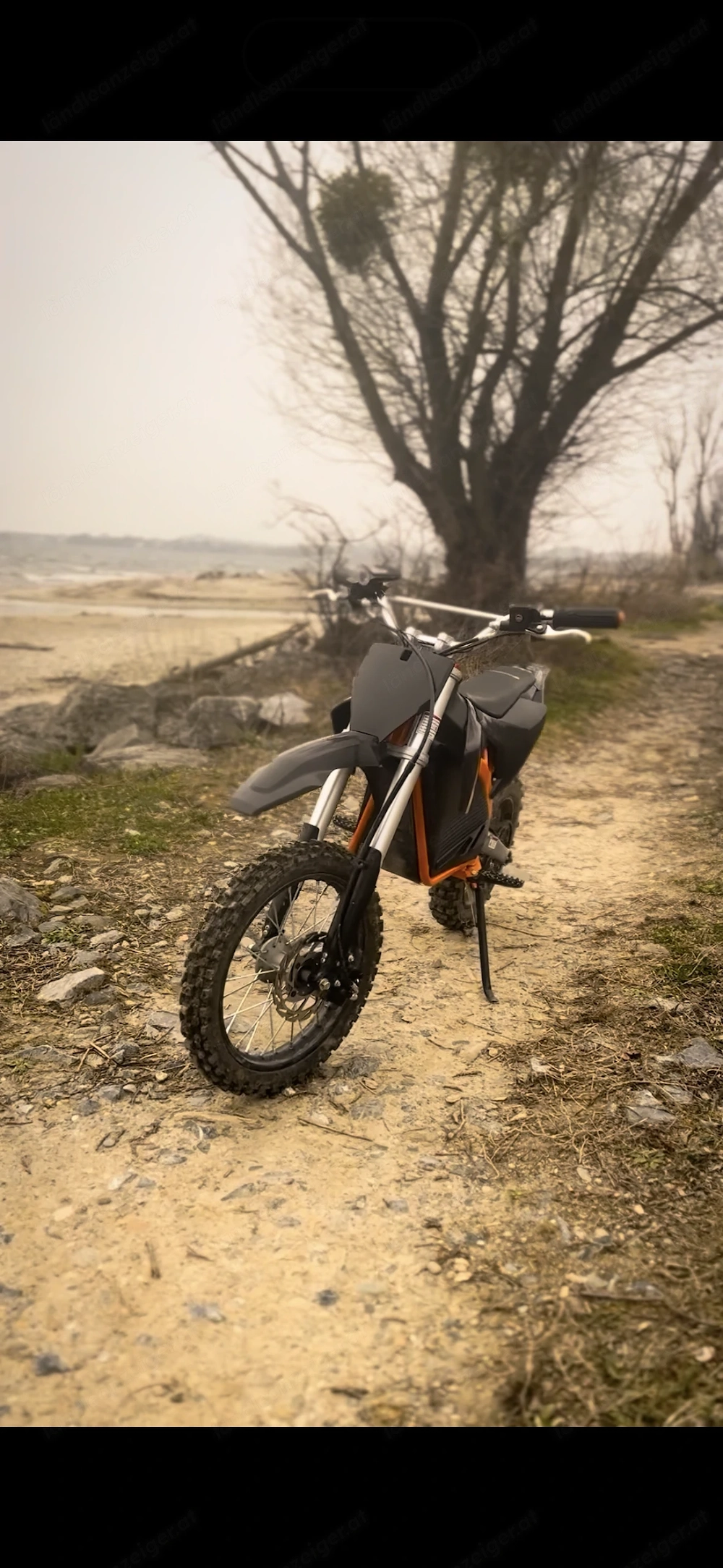 Serval 3000 Watt Pitbike E Cross Lithium
