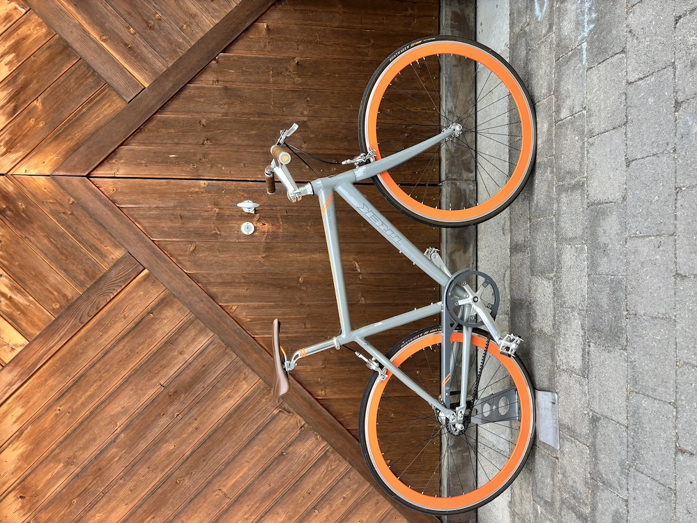 Trek District Singlespeed