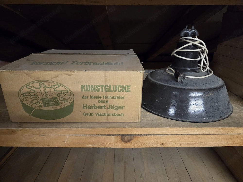 Kunstglucke & Wärmelampe
