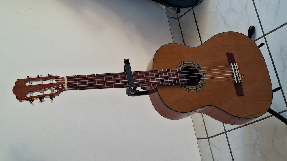 Gitarre für Musikschule und Unterricht