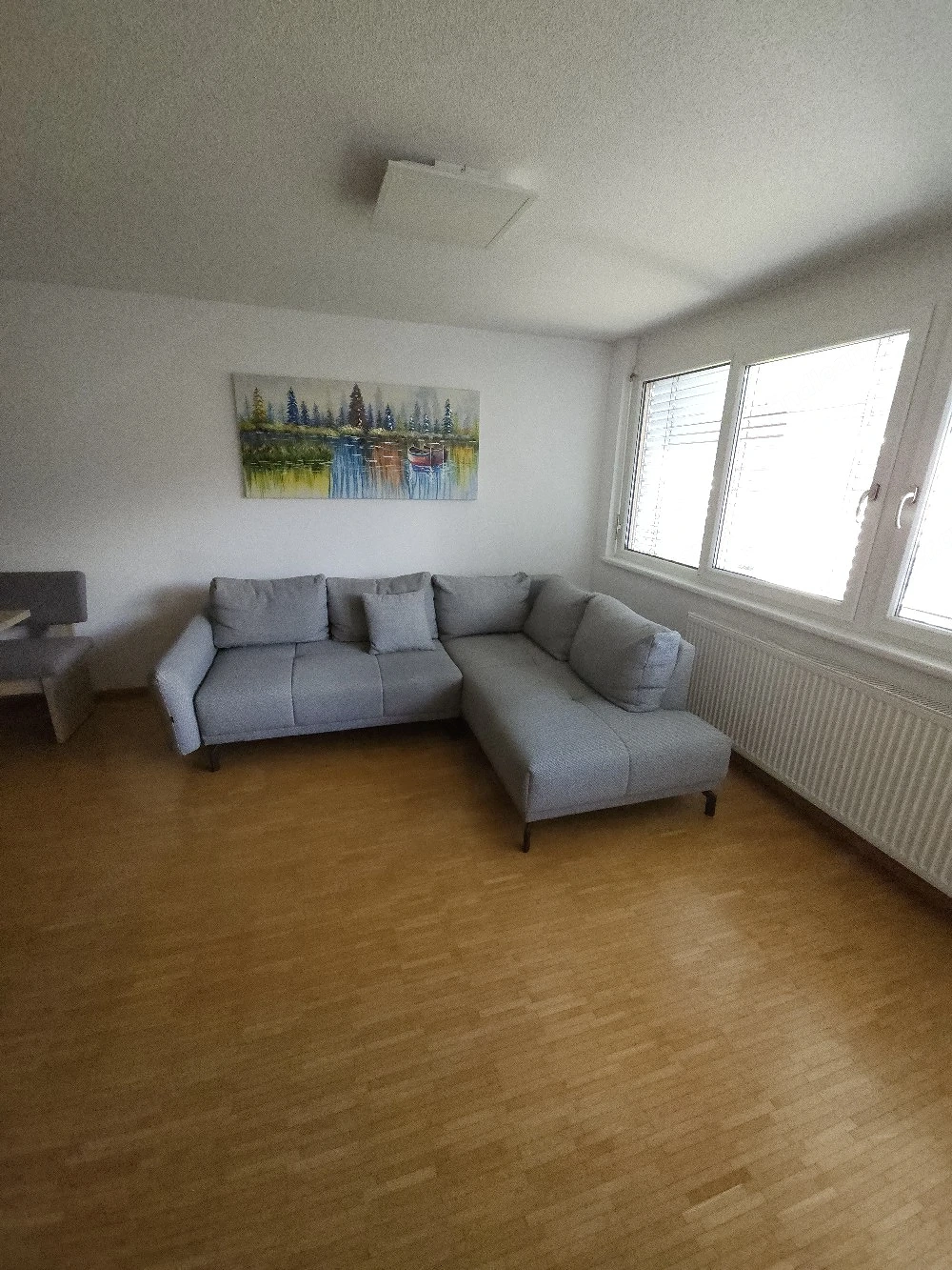 Ausziehbare Couch