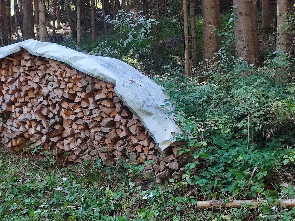 Trockenes Brennholz weich