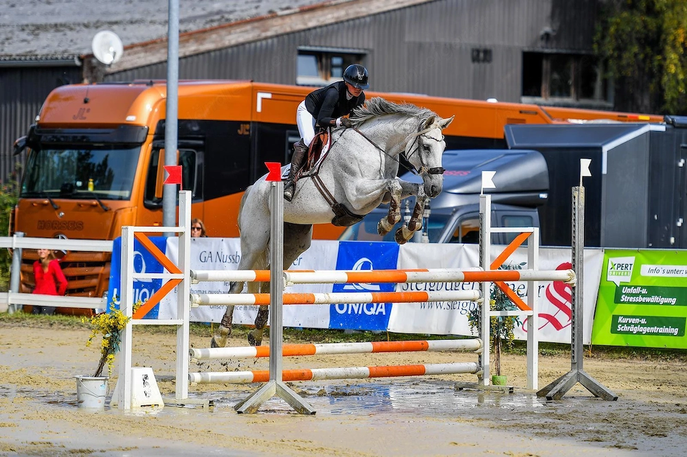 Liebevoller & pferdegerechter Beritt und Anreiten im Allgäu