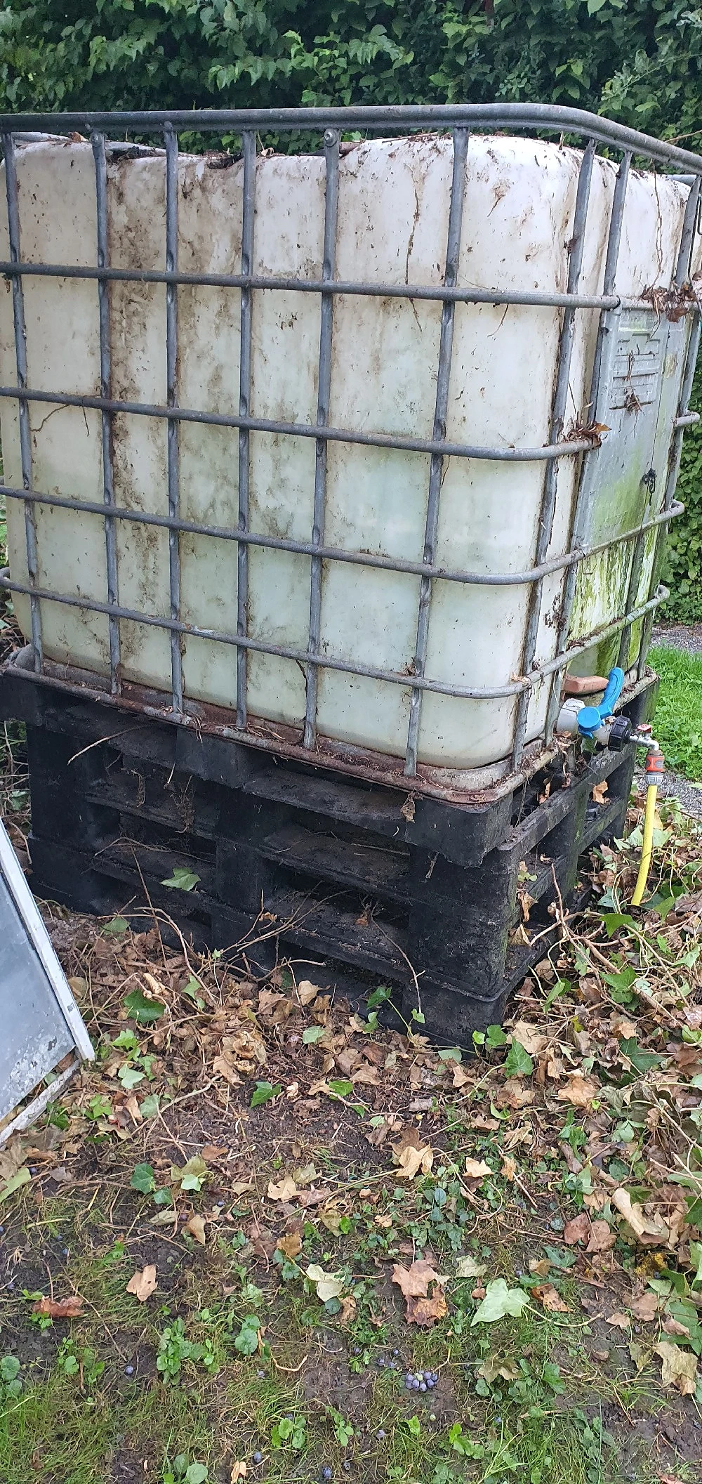 Wassertank 