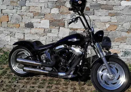 Harley Davidson Softail Custom 