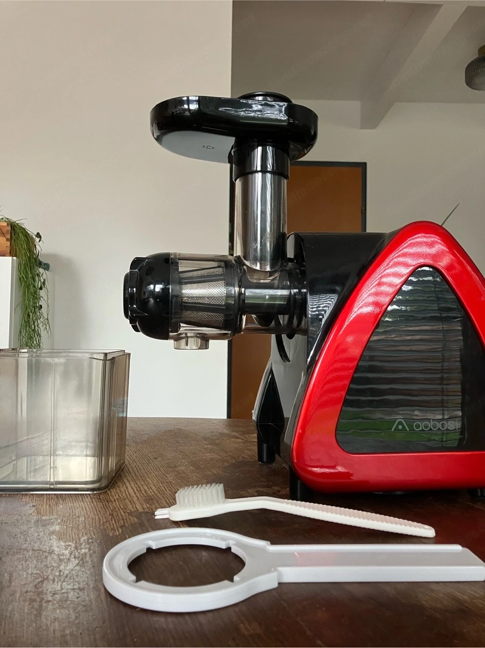 Slow Juicer
