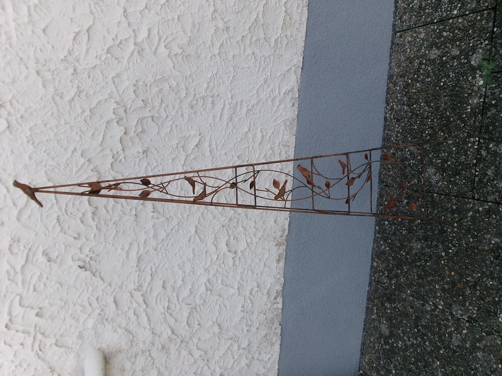 Rankgitter mit Edelrost 