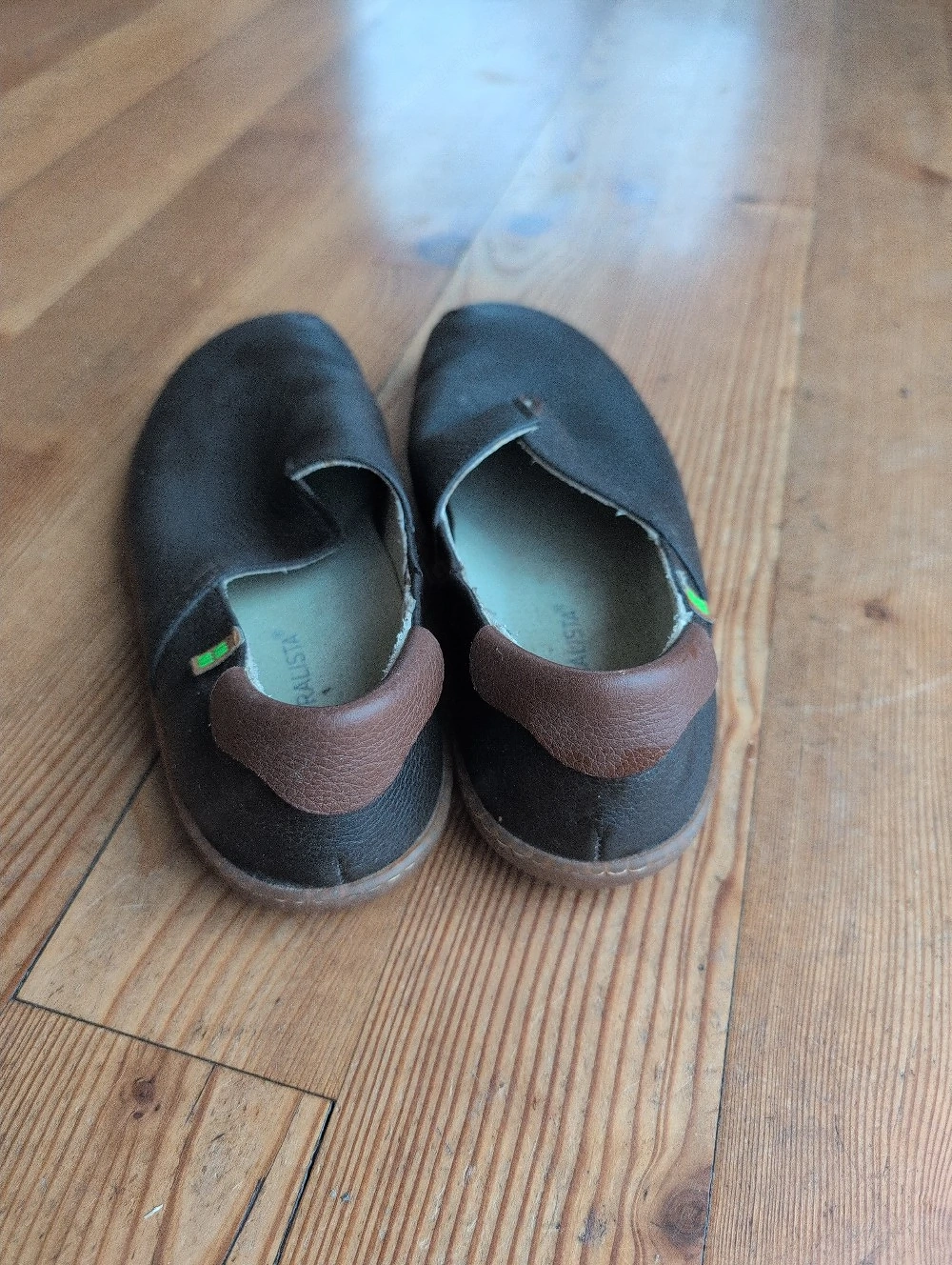 El Naturalista, N275, El Viajero, braun
