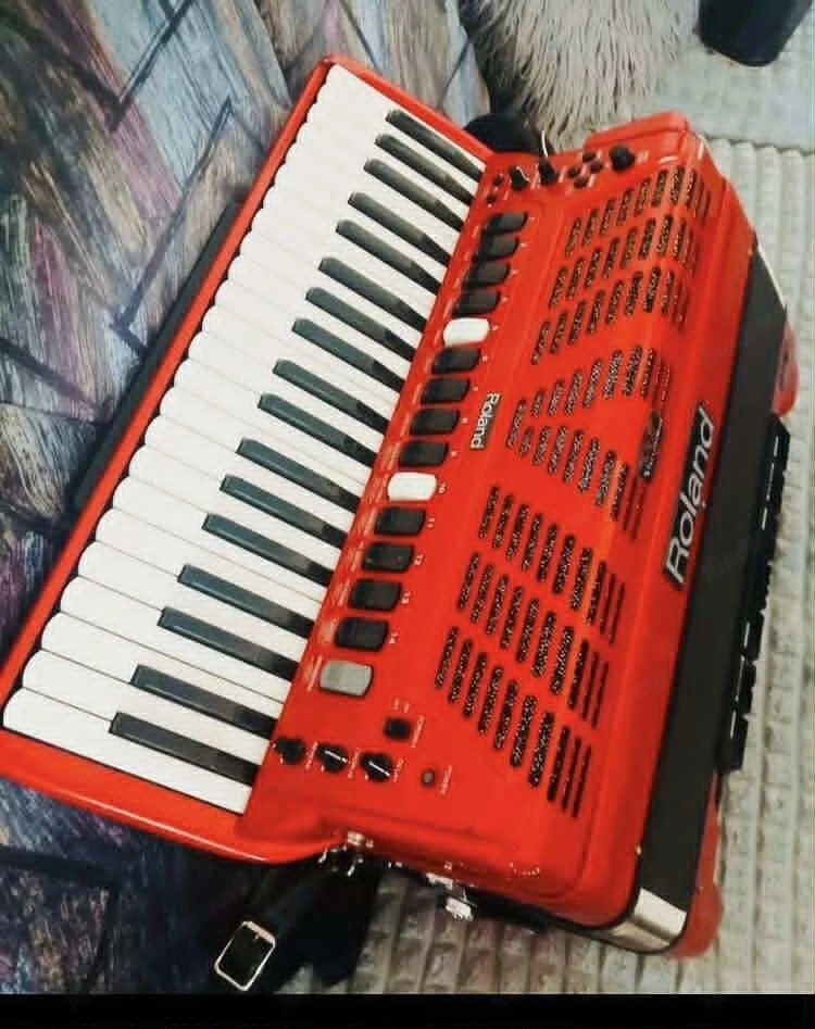 Roland FR-7 120 Bass Akkordeon