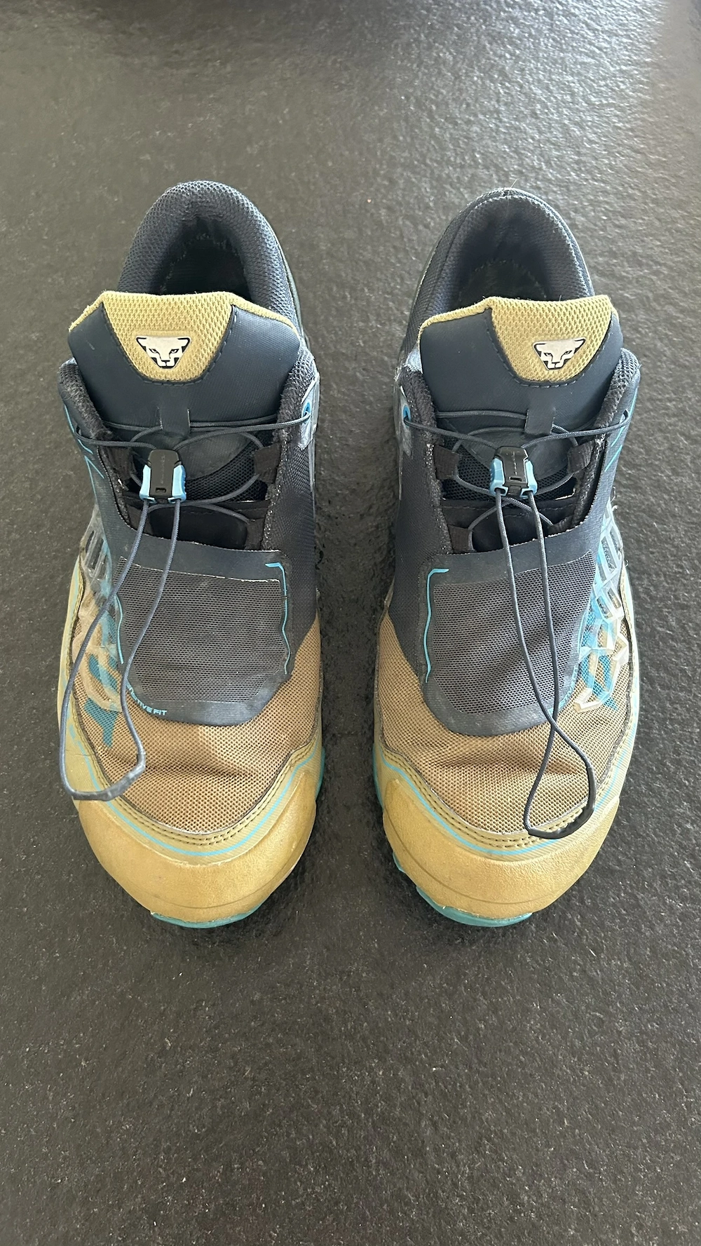 Dynafit Feline SL GTX (Größe 46 - passend für 44)