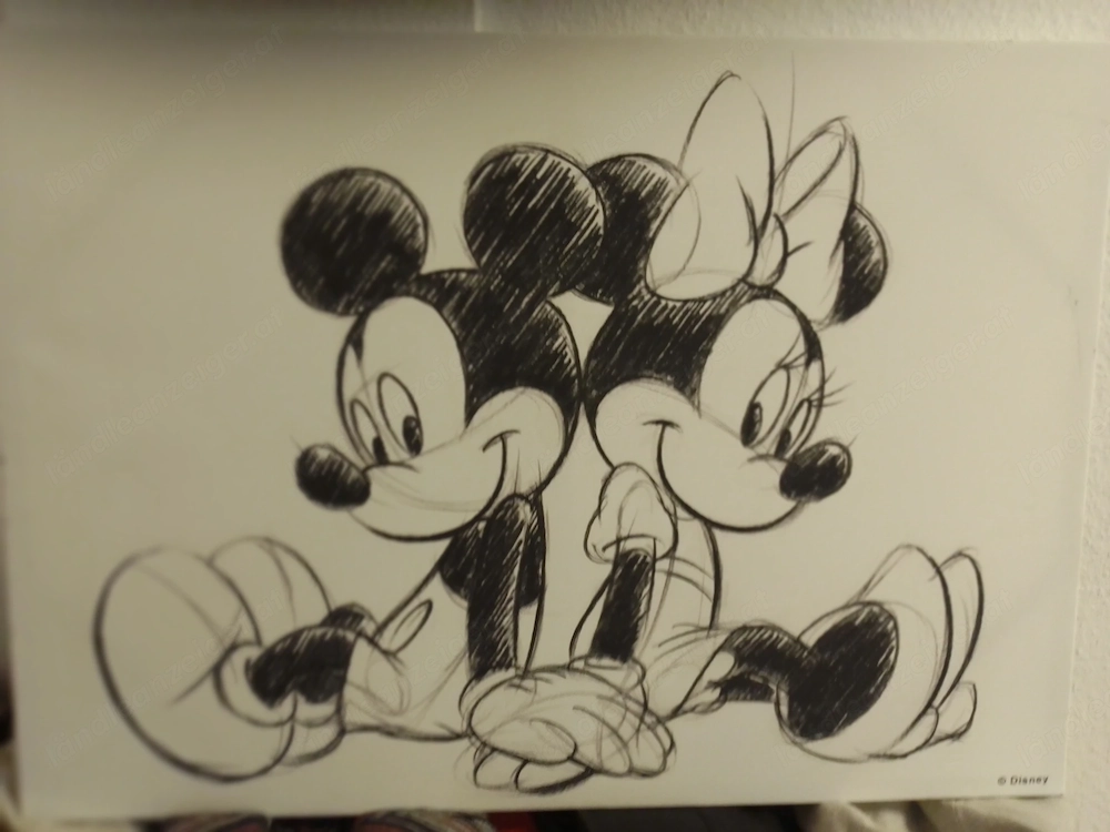 Micky und Minnie Mouse Bild