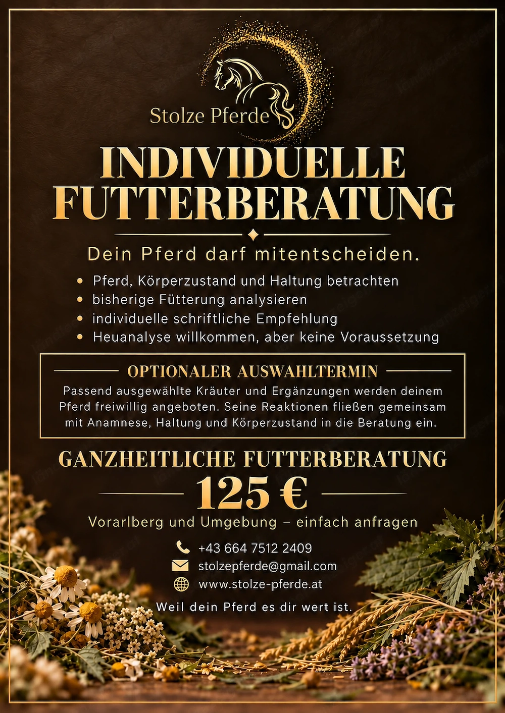 Futterberatung beim Pferd in Vorarlberg und Umgebung