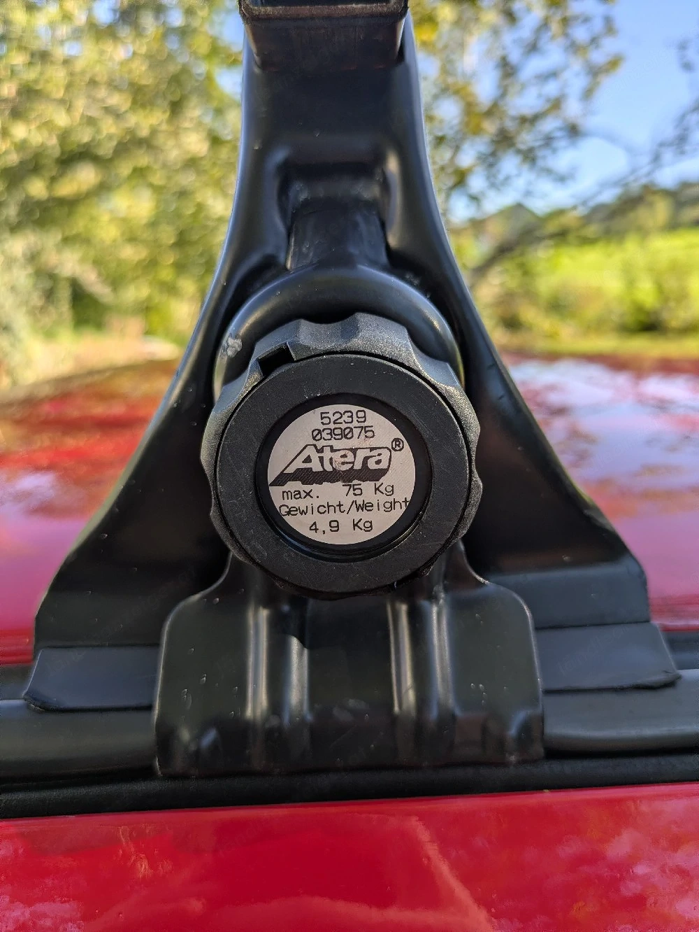 Altera Dachträger Golf 2