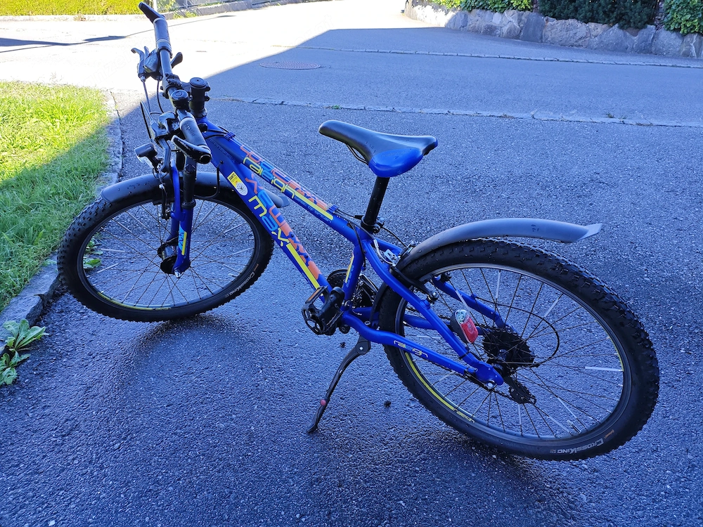 Raleigh Univega Jugend Mountainbike 24"