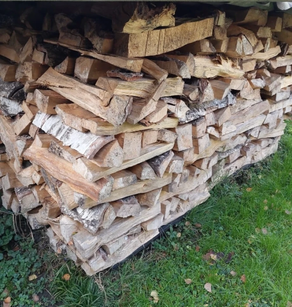 Birkenholz Kaminholz