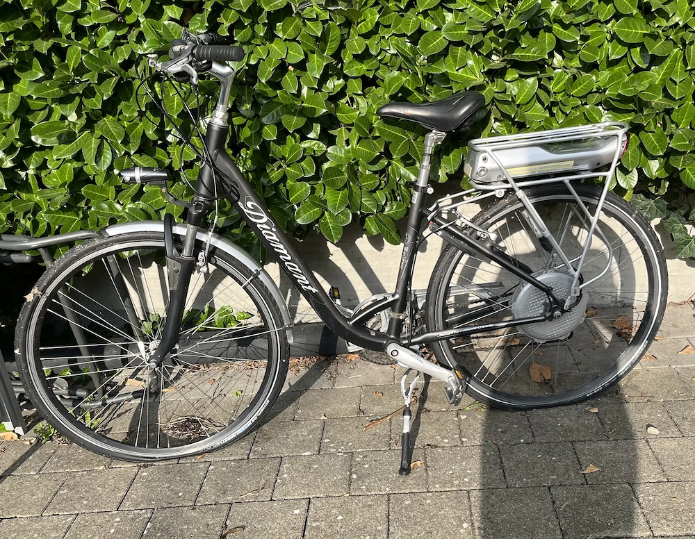 E-Bike für Bastler