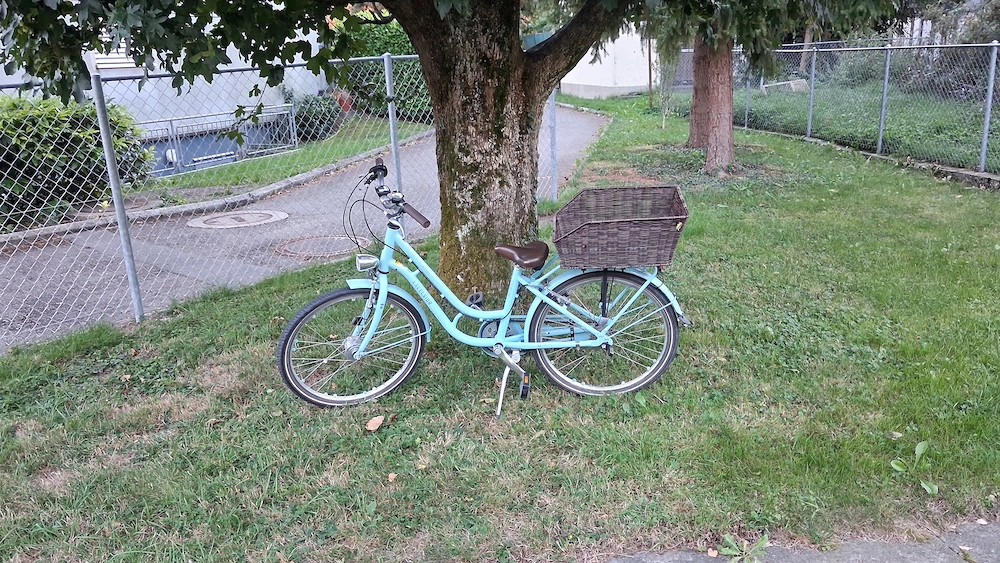 Excelsior Retro Mädchen Fahrrad