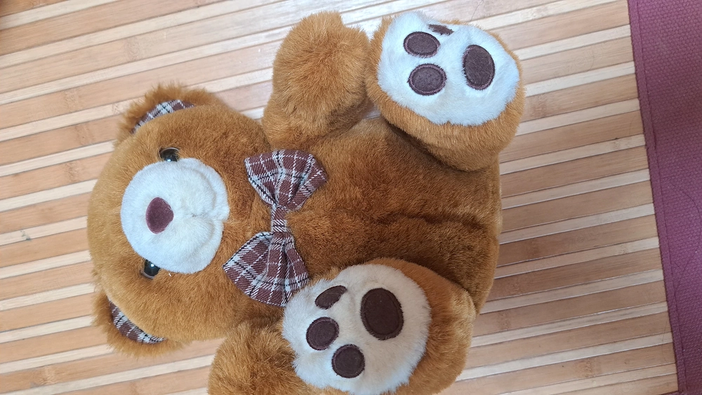 Teddybären Familie 