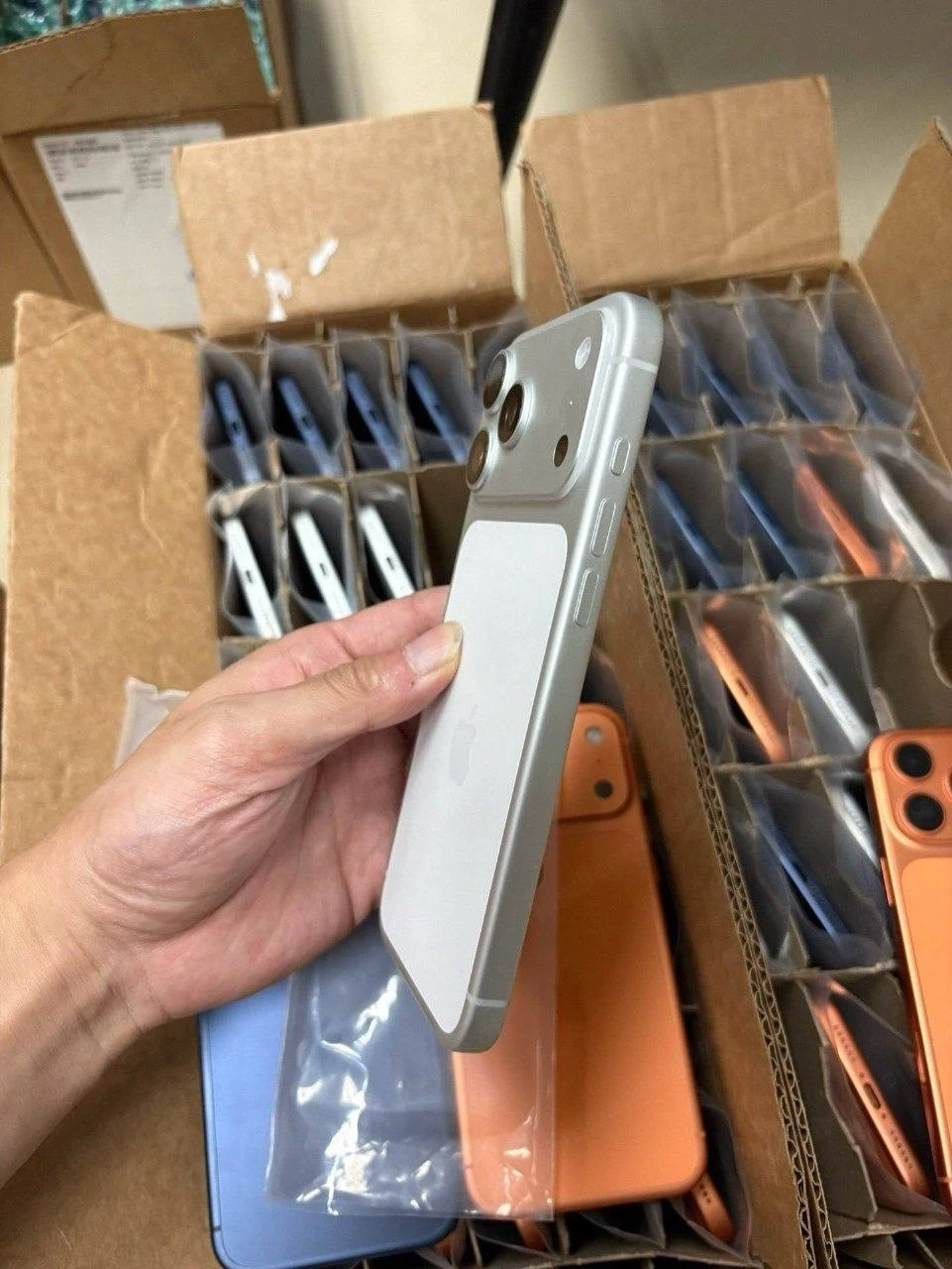 iPhone online kaufen