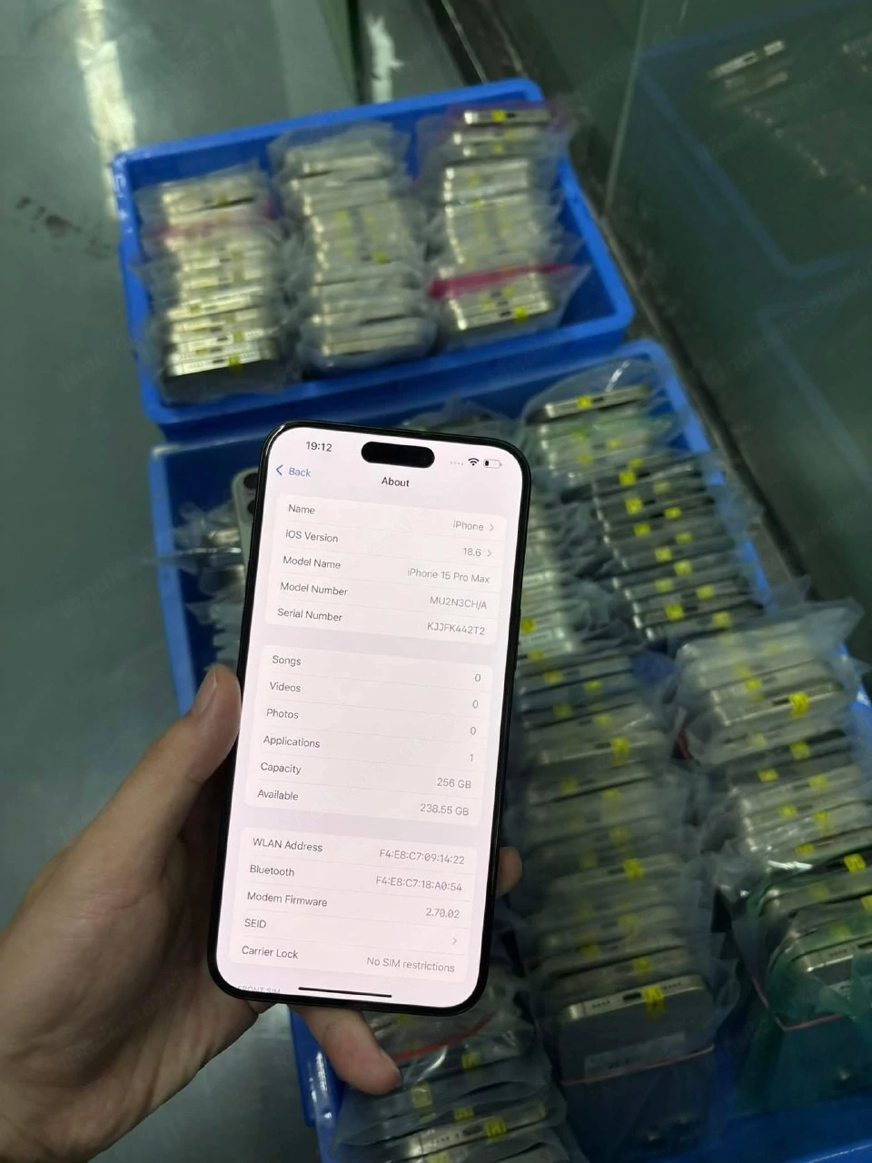 iPhone online kaufen