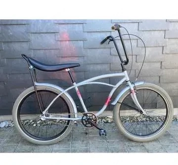 Beach cruiser LA style