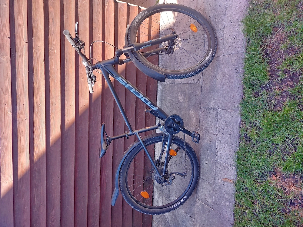 Fahrrad Focus