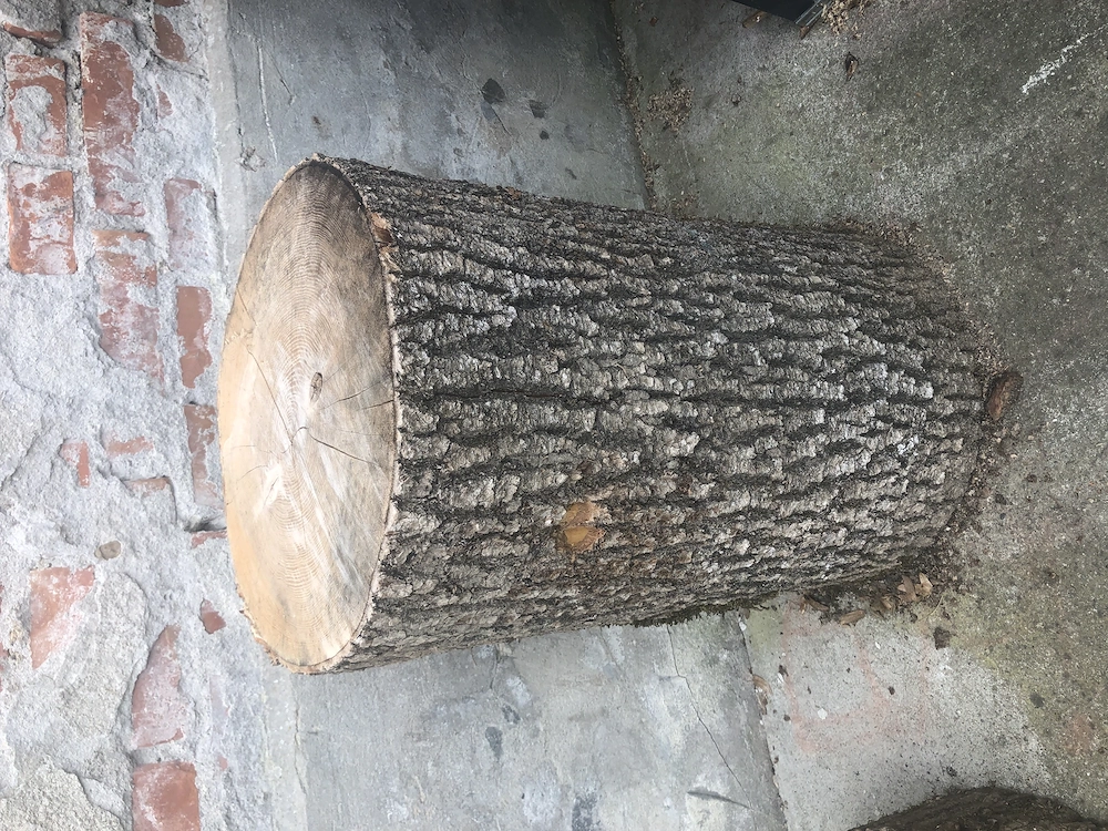 Scheitstock, Hackbock