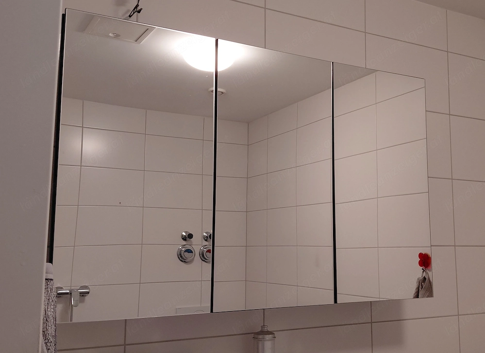 Spiegelschrank ( Alibert  )